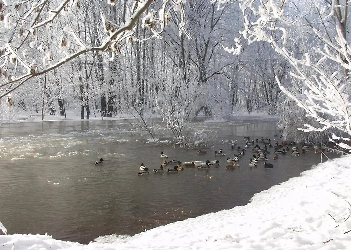Lägenhet Einladende Im Malerischen Stassfurt